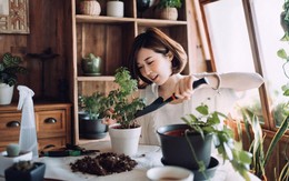 Từ 40 tuổi tôi bắt đầu chuẩn bị 3 thứ để tuổi già không phụ thuộc
