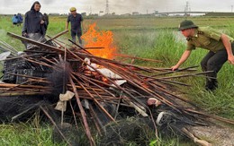 Hơn 4.000m lưới và hàng trăm dụng cụ bẫy chim bị tiêu hủy
