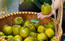 Tiểu thương chia sẻ cách chọn hồng da tre chín đều, thơm ngon chỉ nhờ vào những dấu hiệu nhỏ này
