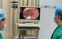 Người đàn ông 56 tuổi bị kiến chui vào thanh quản từ 1 việc không ngờ tới