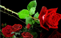 Bất ngờ những thứ đại kỵ làm quà tặng và sai lầm cần tránh khi tặng quà trong ngày lễ