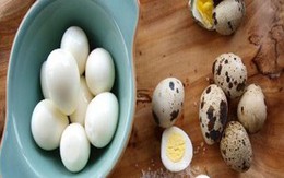 Mẹo luộc trứng cút ngon ngọt, không bị vỡ, dễ bóc vỏ không phải ai cũng biết