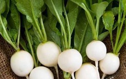 Lợi ích của củ cải trắng với sức khỏe, đặc biệt với người tiểu đường, viêm khớp