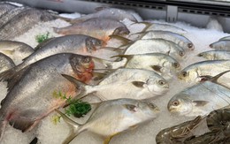Loại cá rẻ bèo bán đầy chợ Việt được Nhật Bản ưa chuộng làm sushi và sashimi