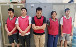 Hà Nội: Đổ trộm hơn 33.000 tấn chất thải xây dựng trái phép, 5 đối tượng bị khởi tố