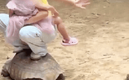 Du khách thản nhiên ngồi lên lưng rùa ở sở thú