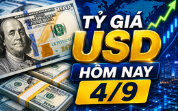 Tỷ giá USD hôm nay 4/9: Tỷ giá trung tâm tăng lên 25.615 đồng/USD