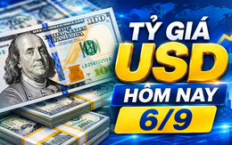 Tỷ giá USD hôm nay 6/9: Đồng Đô la Mỹ khối ngân hàng và 'chợ đen' ổn định