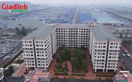 Đã có sổ hồng nhà ở xã hội nhưng chưa đủ 5 năm, có được cho thuê lại?