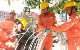 Lịch cúp điện Tây Ninh từ ngày 8 - 13/9/2026: Cúp điện từ sáng sớm đến chiều tối nhiều khu dân cư để phục vụ sửa chữa