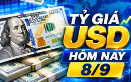 Tỷ giá USD hôm nay 8/9: Đồng Đô la Mỹ 'chợ đen' tăng bật
