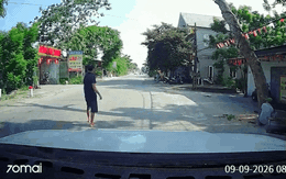 Cây xanh ven đường đổ sập trong lúc đang cưa, đè tử vong người đi xe máy