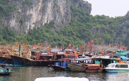 Bão số 2: Cấm tàu du lịch trên Vịnh Hạ Long