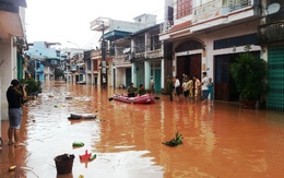 Quảng Ninh: Trích 30 tỷ đồng hỗ trợ thiệt hại do Cơn bão số 14