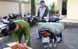 Quảng Ninh: Bắt giữ đối tượng vận chuyển trái phép 53 kg pháo nổ.