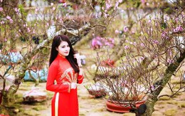 Thiếu nữ vùng than đẹp rạng rỡ bên sắc hoa xuân