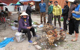 Quảng Ninh: Cướp táo tợn ngay giữa chợ