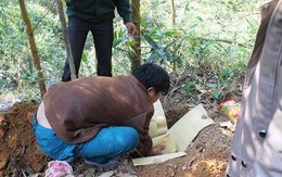 Quảng Ninh: Phát hiện xác trẻ sơ sinh bỏ lại ở nghĩa trang