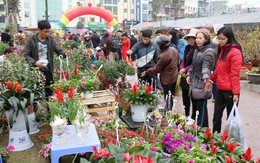 Quảng Ninh: Người dân kinh doanh hoa xuân "thoát hiểm" ngoạn mục