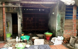 Quảng Ninh: Cháu bé hơn 2 tuổi bị gấu cắn đứt lìa cánh tay