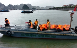 Quảng Ninh: Khẩn cấp triển khai các phương án phòng chống bão Rammasun