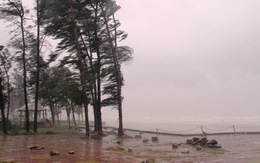Quảng Ninh: Bão Thần Sấm không thiệt hại về người