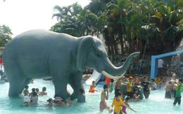 Sôi động với sóng thần và đĩa bay ở Công viên Hồ Tây