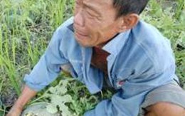 Sốc với tấm ảnh người đàn ông bật khóc