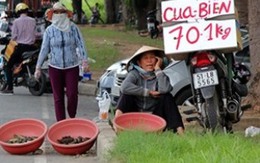 Ham cua ghẹ giá rẻ có ngày rước họa