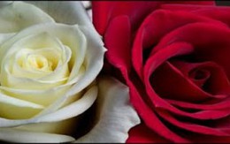 Tháng 7 âm 2014, có đáng lo lắng như thế?