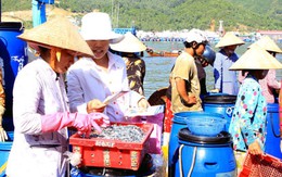 Ninh Thuận: Vì mục tiêu nâng cao chất lượng dân số vùng biển