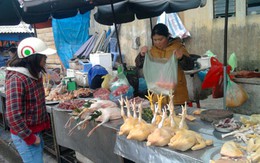 Cả nước thâm canh, tiểu thương thu hoạch