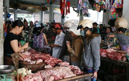Giáp Tết: Đề phòng bệnh liên cầu lợn 