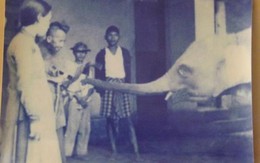 Tiên tri sự xuất hiện bạch tượng và cuộc tranh cử “Đại Tổng thống” của ông đạo Dừa