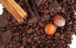 Chocolate được so sánh tuyệt hơn cả Viagra