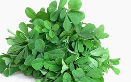 Khám phá loại “xuân dược” được hàng tỷ dân Ấn Độ coi như “quốc hồn quốc túy”