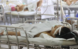 Tình yêu lạc lối của cô gái trẻ bị gã trai cuồng tình ra tay tàn độc