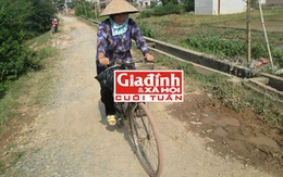 Nỗi dằn vặt của người phụ nữ nhặt xác sau ngày trở thành "chuyên gia tư vấn"