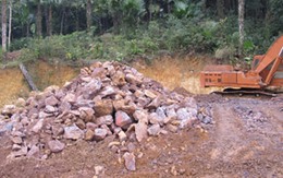 Cần tìm ra tác giả màn kịch vụng