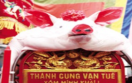 Điều trái ngược tại hai lễ hội