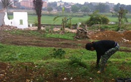 Dự án “công viên viển vông”