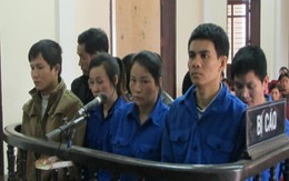Ổ nhền nhện An Phú Quý hầu tòa