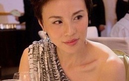 Mỹ nhân trốn nợ tiền tỷ sa lưới 