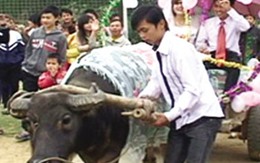 Mỗi tuần 7 chuyện