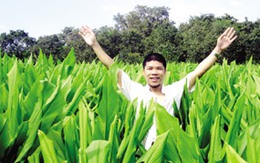 Đau đáu với tình trạng “chảy máu dược liệu”