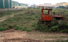 Quản lý sử dụng đất đai tại Thanh Trì, Hà Nội: Cấp sổ đỏ cho người lấn chiếm 