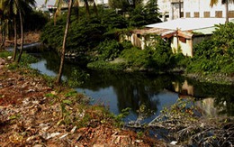 Tất cả các dòng sông đều chết