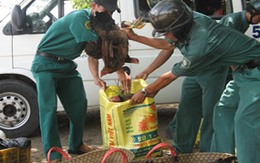 Dịch nguy hiểm, dân vẫn thờ ơ