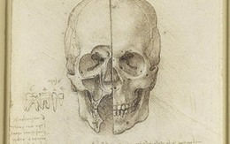 Leonardo Da Vinci từng mua sọ người? 