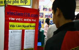 Lao động bỏ trốn, hệ lụy khôn lường